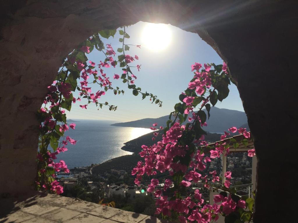 Villa Valo Kalkan Luaran gambar