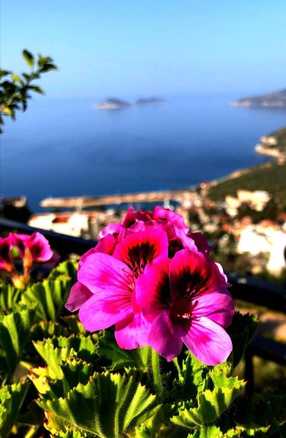 Villa Valo Kalkan Luaran gambar
